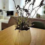 Apartman Ivanna Néa Mudaniá