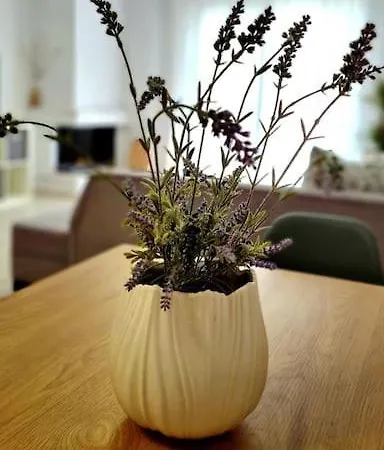 Apartman Ivanna Néa Mudaniá